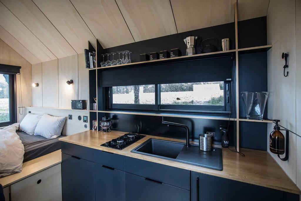 L'Envolee Ecolodge, Tiny House Au Coeur Des Vignes Loches-sur-Ource エクステリア 写真