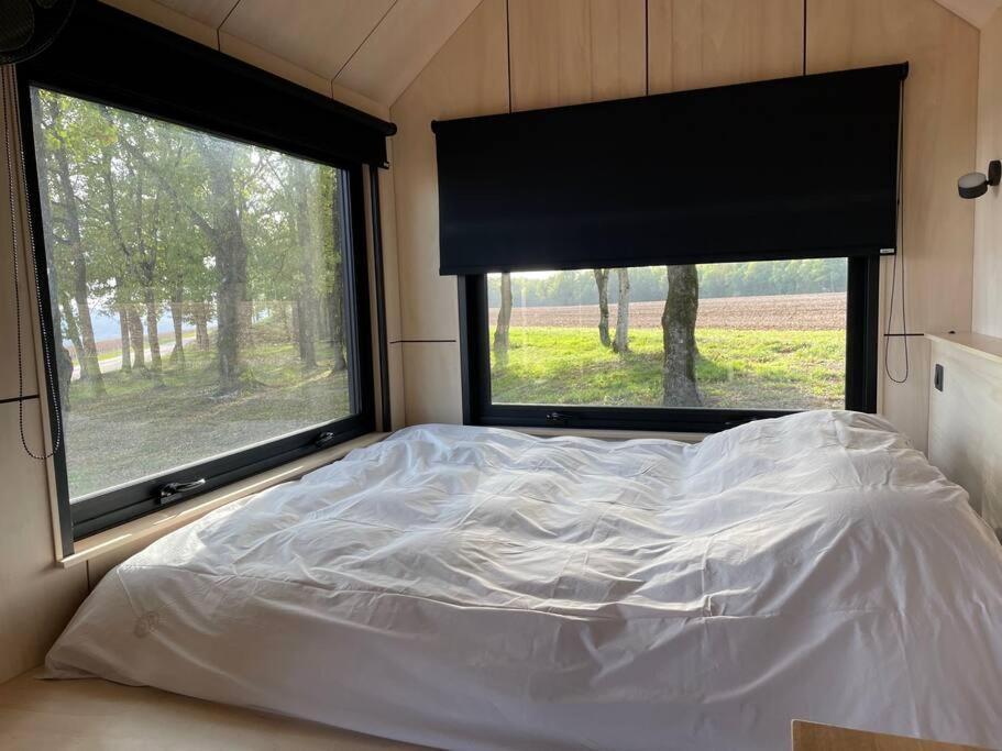 L'Envolee Ecolodge, Tiny House Au Coeur Des Vignes Loches-sur-Ource エクステリア 写真