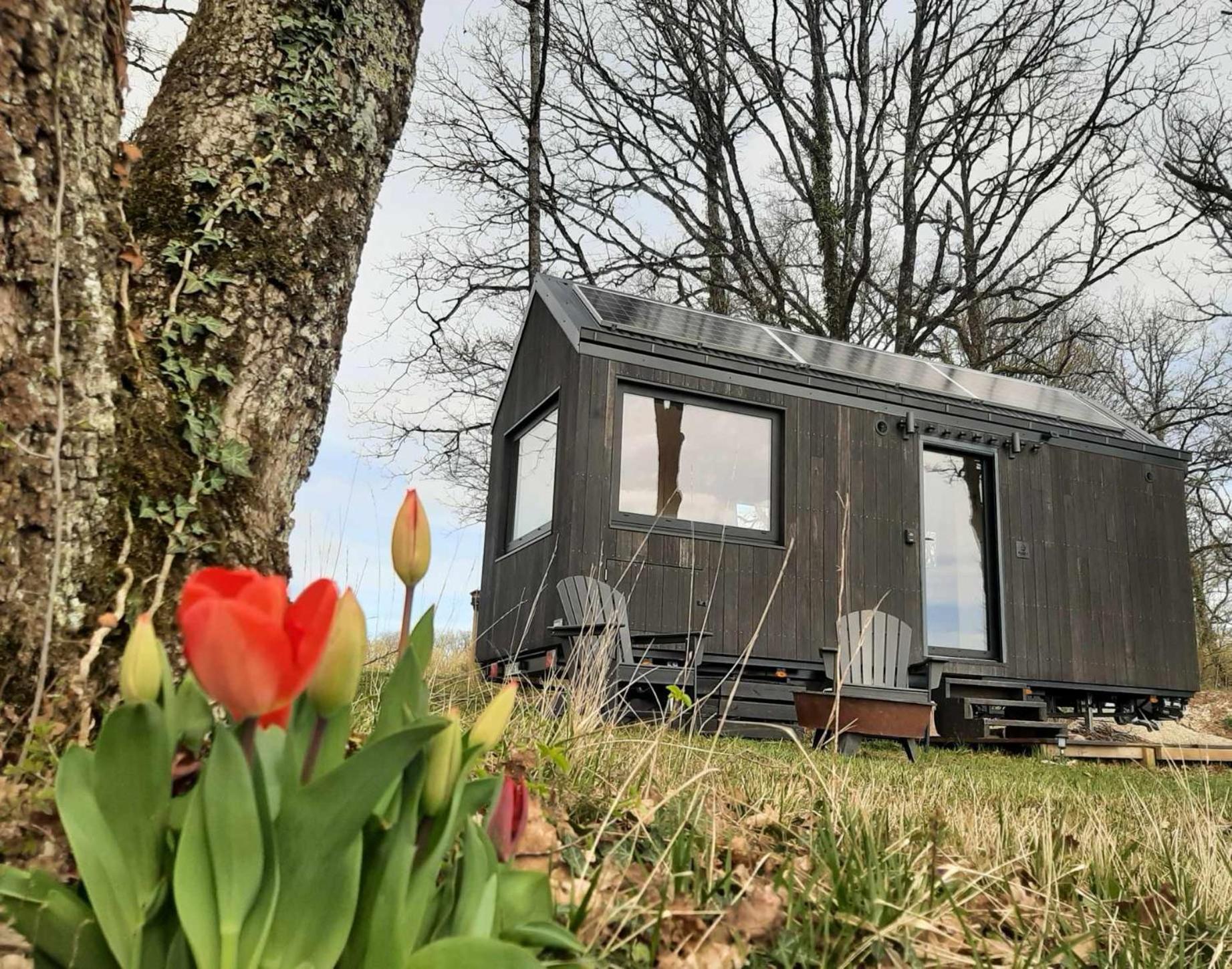 L'Envolee Ecolodge, Tiny House Au Coeur Des Vignes Loches-sur-Ource エクステリア 写真